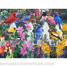 Buffalo Games North American Songbirds Gathering of Friends 1000 Piece Jigsaw Puzzle B07G8ZYTDX